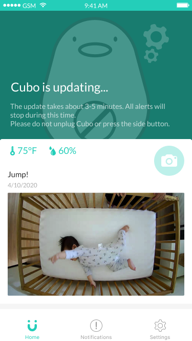 Actualización_de_firmware.png