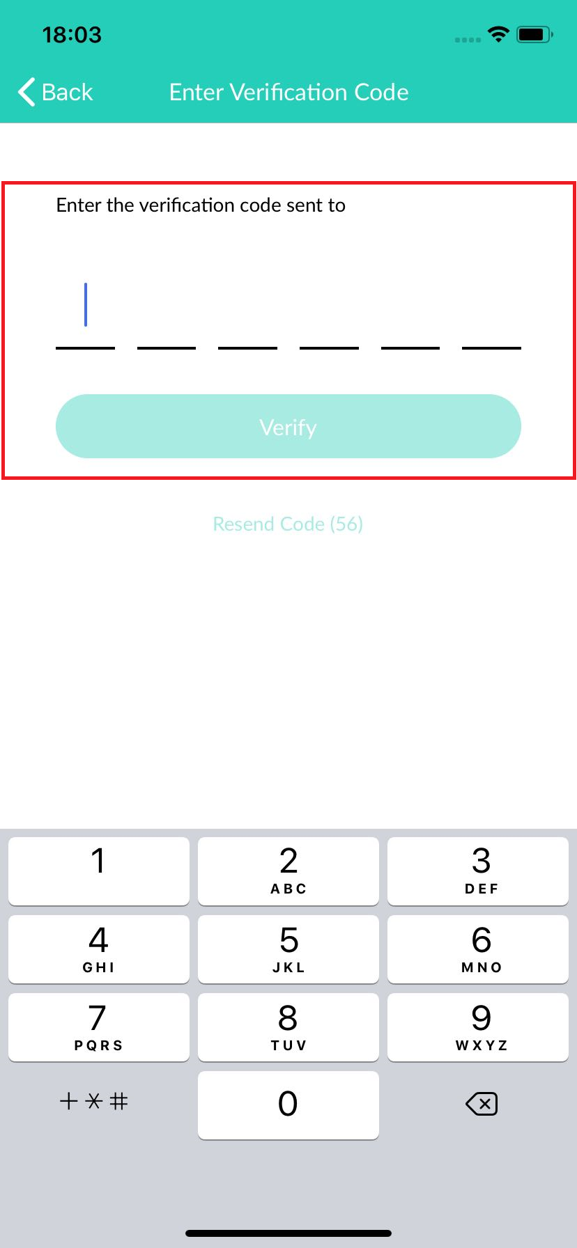 5._Enter_Verification_Code.png