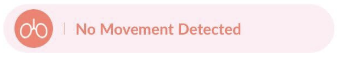 No_Movement_Detected.png