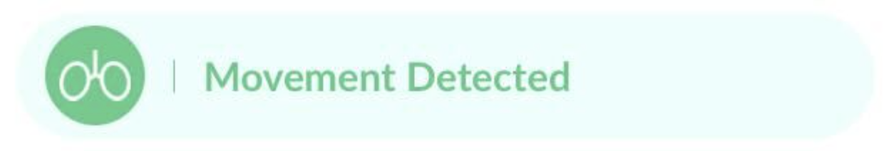 Movement_Detected.png